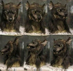Realistic Werewolf Mask for Halloween & Cosplay
