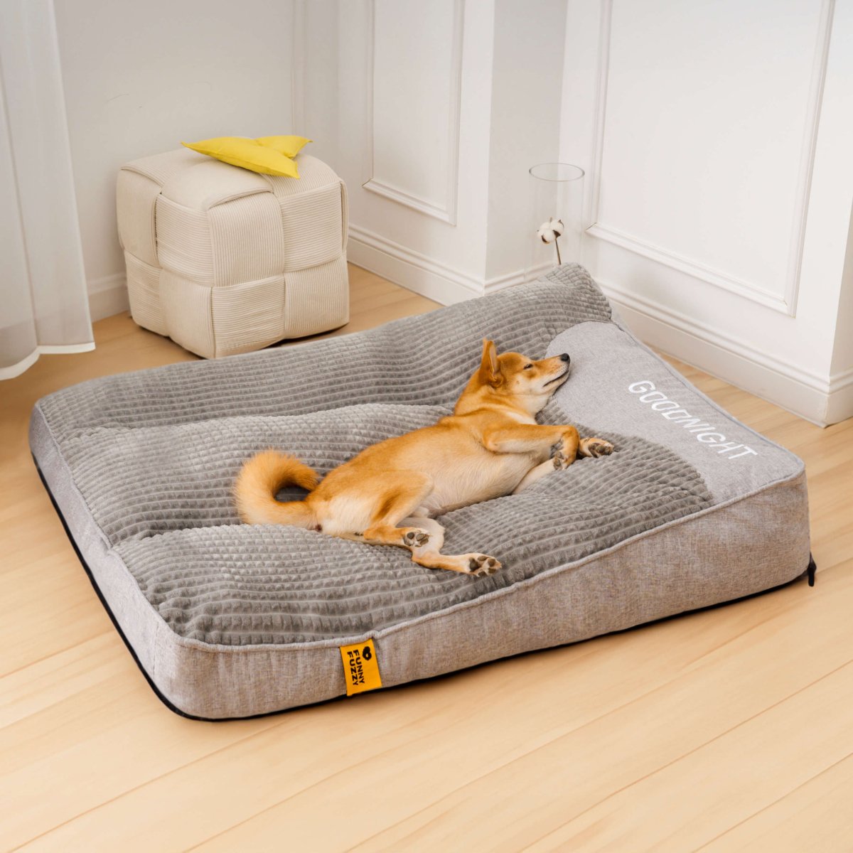 CocoonChien | Optimal comfort for your companion