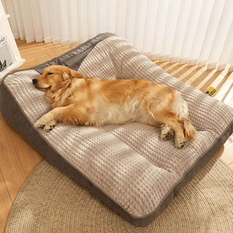 CocoonChien | Optimal comfort for your companion