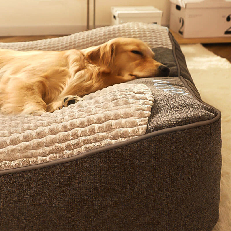 CocoonChien | Optimal comfort for your companion