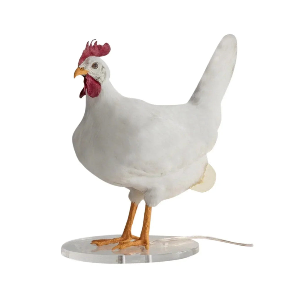 ChickLume - Innovative lamp for hens - Encourages laying - Lights up and heats up
