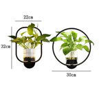 Luminaire Sconce - Plant Wall Light