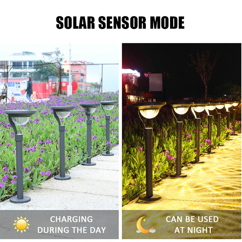 Solar Lawn Light