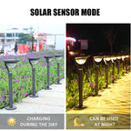 Solar Lawn Light