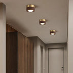 Versatile LED lighting with walnut finish