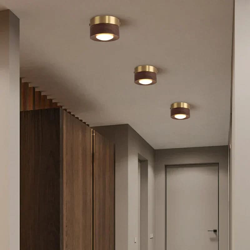 Energy-saving Walnut Light Solution