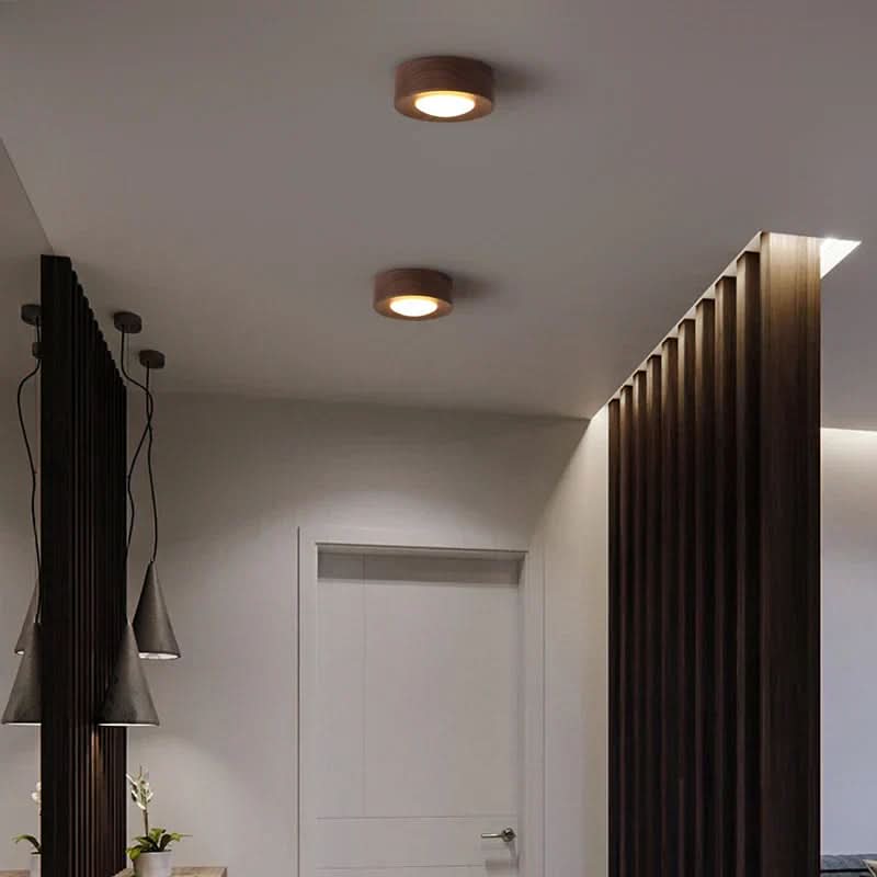 Energy-saving Walnut Light Solution