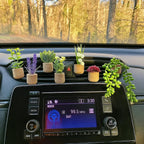 Ventilation Clip with Fragrance Set — Fresh Car Accessory made of Cork