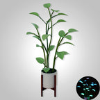 Luminous Bloom | Magic LED Plant