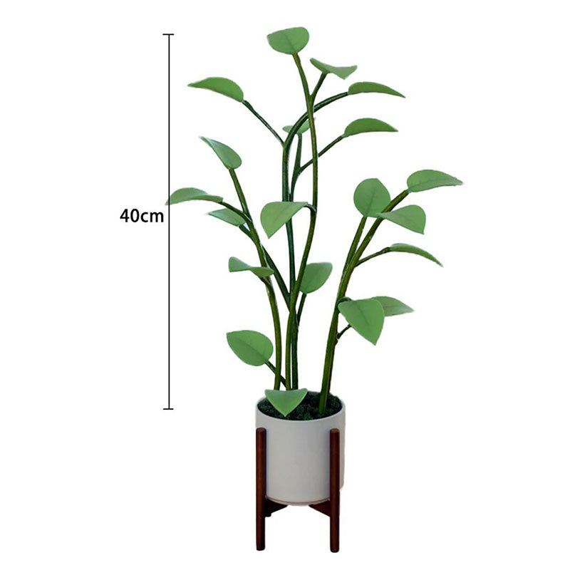 Luminous Bloom | Magic LED Plant