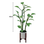 Luminous Bloom | Magic LED Plant