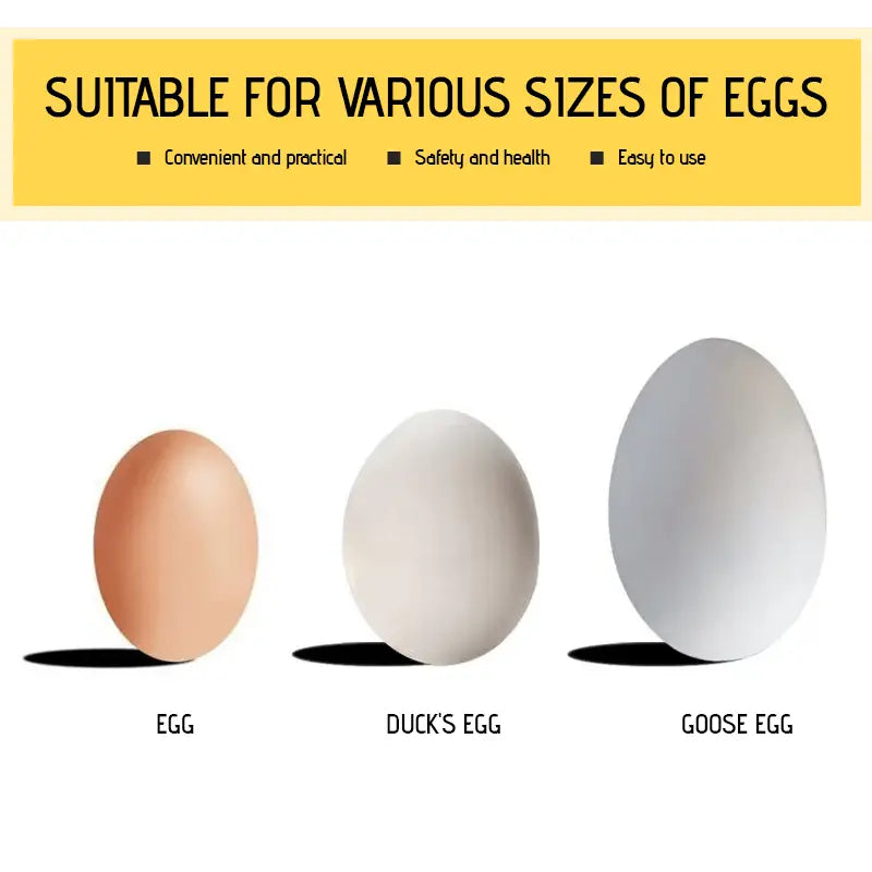 Luxurious Egg Opener made of Stainless Steel – Perfect for Breakfast Eggs & Soft Boiled Eggs