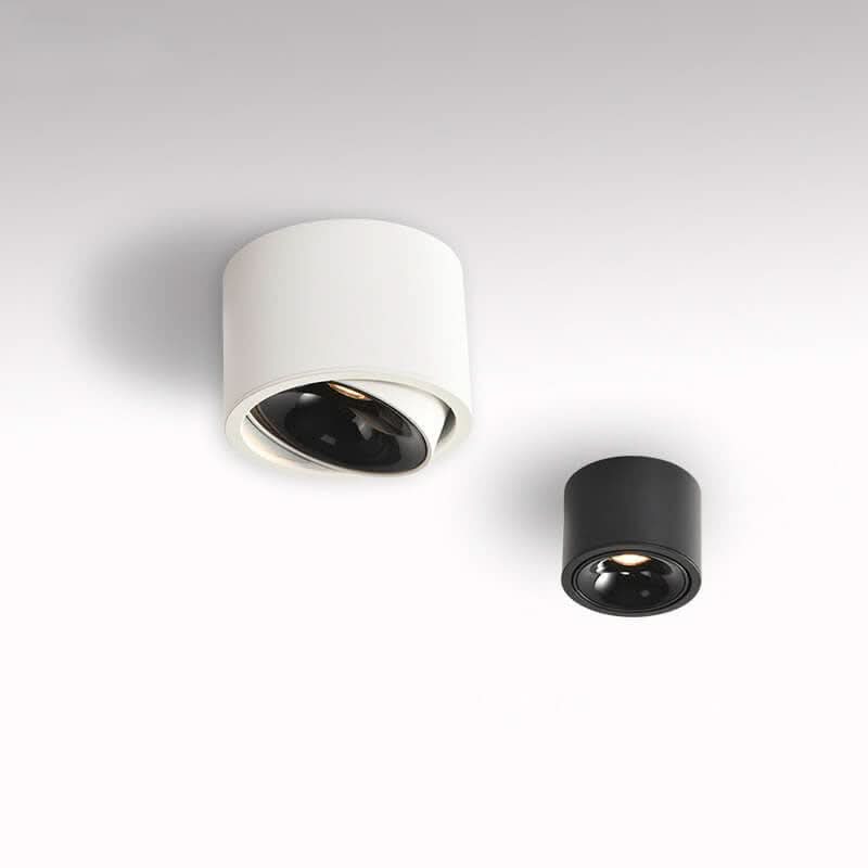 Minimalistic LED Ceiling Light with Adjustable Spotlight