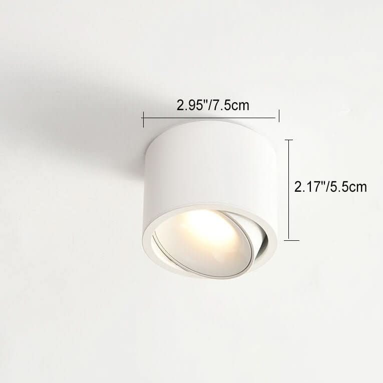 Minimalistic LED Ceiling Light with Adjustable Spotlight