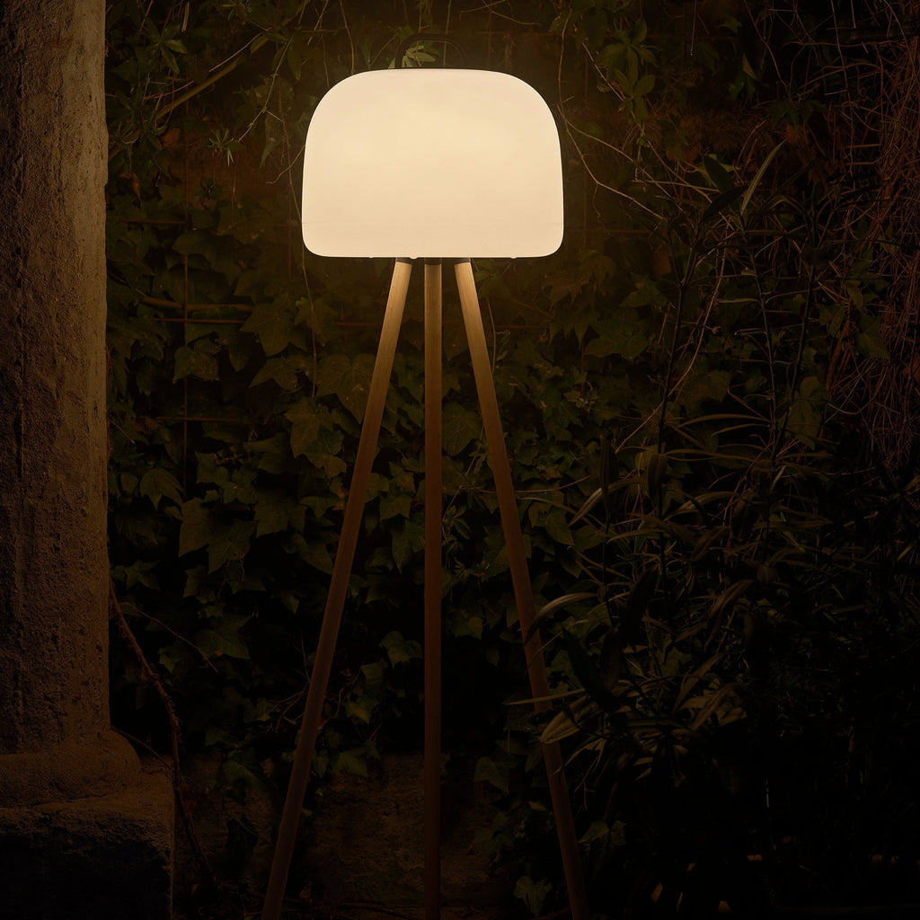 Ideal for Travel and Garden