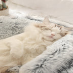 Snugpaws™ - Comfort for Your Pet's Recovery
