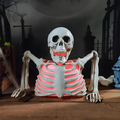 Night Ray