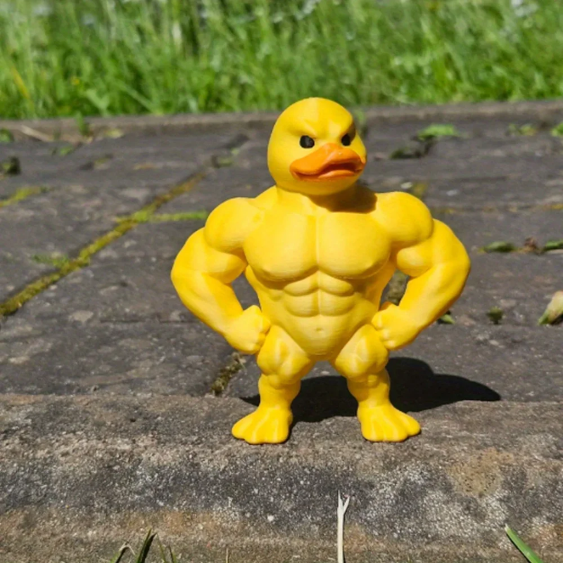 Muscleent