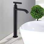 Matte Black Sink Faucet | Elegant Cold Water Faucet