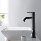Matte Black Sink Faucet | Elegant Cold Water Faucet