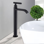 Matte Black Sink Faucet | Elegant Cold Water Faucet
