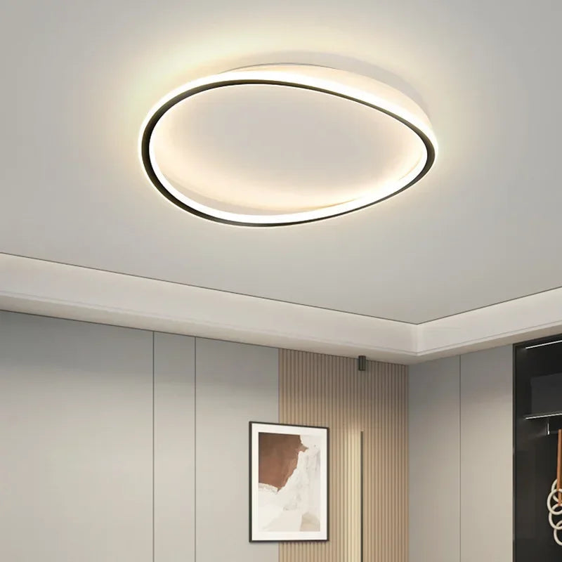 Modern LED Ceiling Light