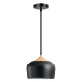 BloomingFlare - Pendant lamp