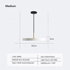 Slim Disc Pendant Light