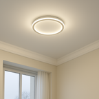 Modern Ceiling Light - Roomlight