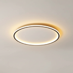 Modern Ceiling Light - Roomlight