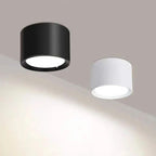 Modern LED Ceiling Light in Black & White