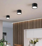 Modern LED Ceiling Light in Black & White