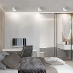 Modern LED Ceiling Light in Black & White