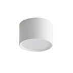 Modern LED Ceiling Light in Black & White