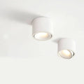 Minimalist ceiling light with adjustable light spot