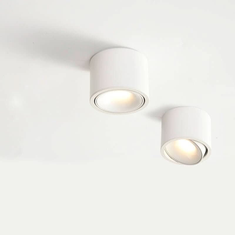 Minimalist ceiling light with adjustable light spot