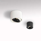 Minimalist ceiling light with adjustable light spot