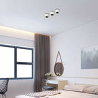 Minimalist ceiling light with adjustable light spot