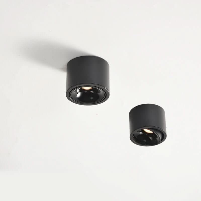 Minimalist ceiling light with adjustable light spot