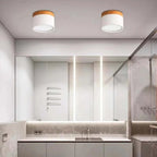 Minimalist ceiling lamp with LED glow