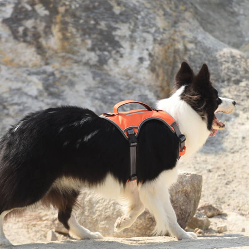 Multifunctional explosion-proof anti-pull harness for medium to large dogs harness