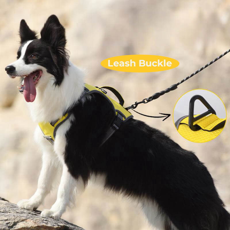 Multifunctional explosion-proof anti-pull harness for medium to large dogs harness