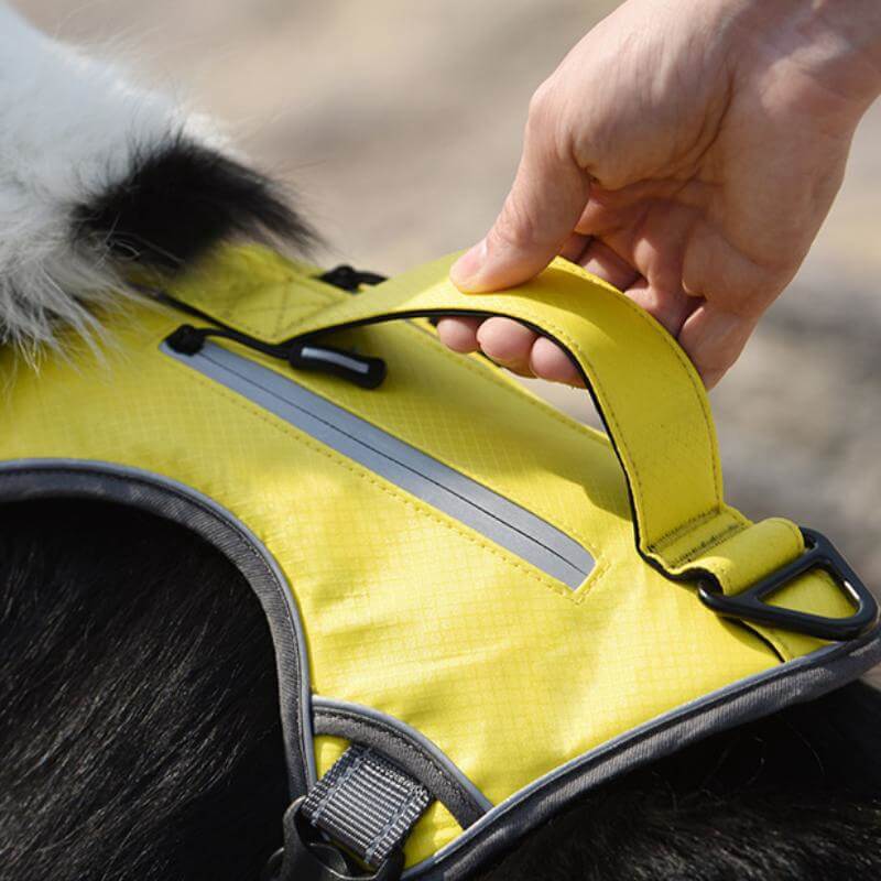 Multifunctional explosion-proof anti-pull harness for medium to large dogs harness