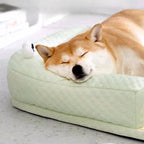 FrostyPaws | Cooling Pet Bed