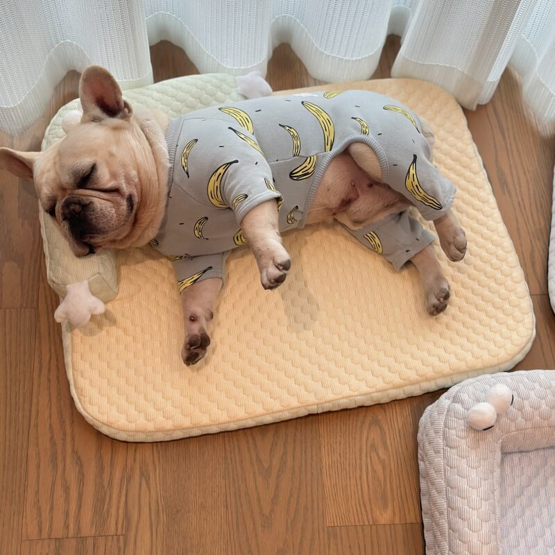 FrostyPaws | Cooling Pet Bed