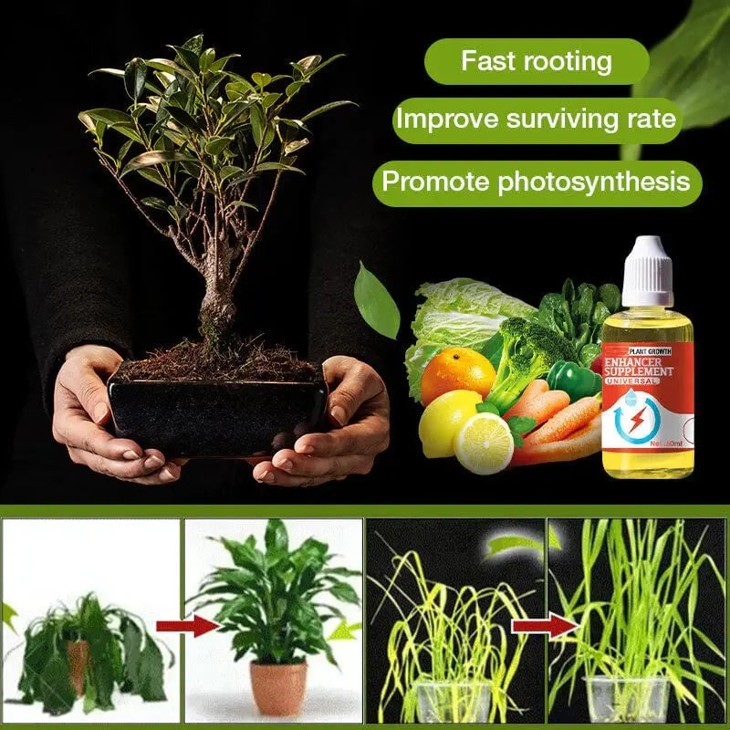 Natural growth for your plants – buy 1, secure 1!