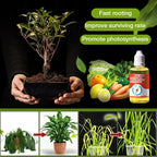 Natural growth for your plants – buy 1, secure 1!