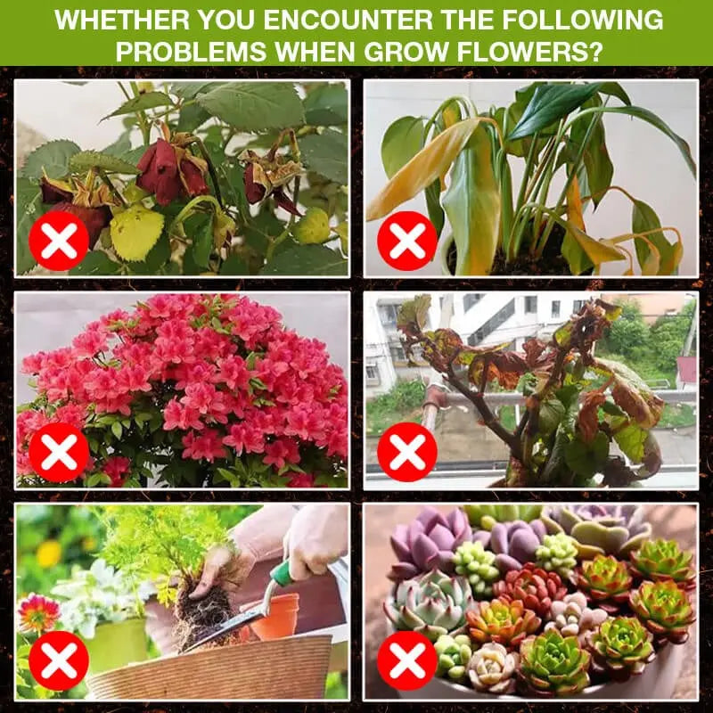 Natural growth for your plants – buy 1, secure 1!