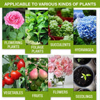 Natural growth for your plants – buy 1, secure 1!