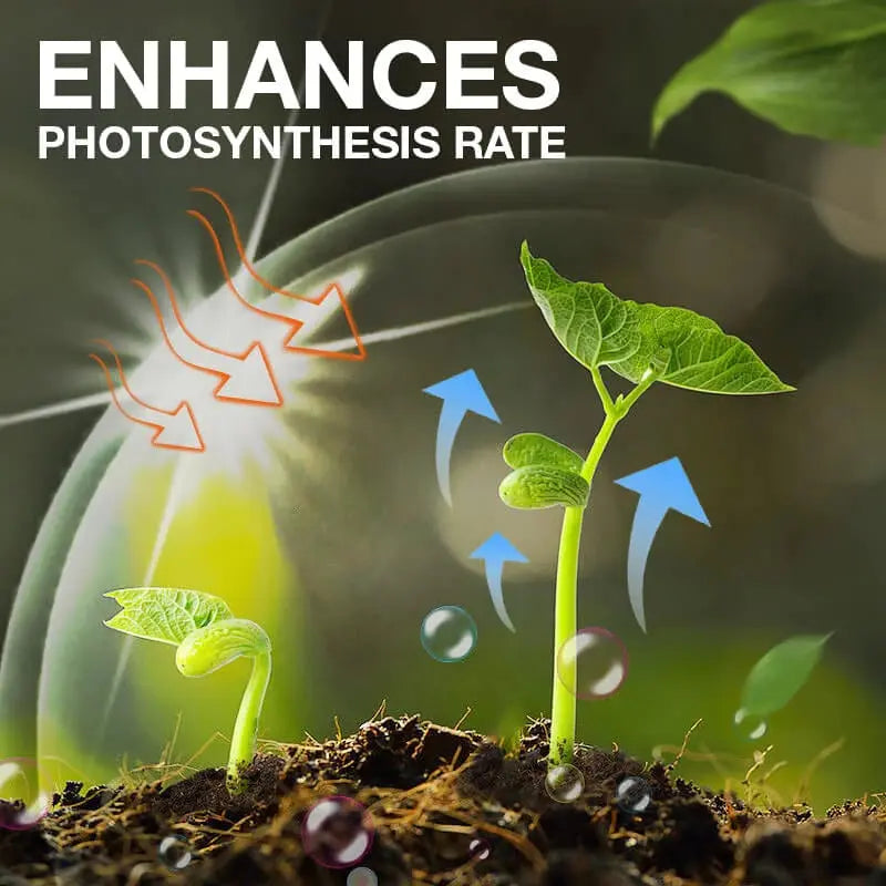 Natural growth for your plants – buy 1, secure 1!